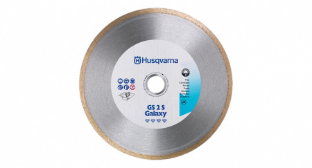 Алмазный диск для плиткорезов GS 2 S/250