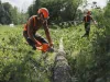 Пила аккумуляторная Husqvarna 435i 14" 0.325 1.1 SP21G X-Cut HSM X-Precision (без АКБ и З/У)
