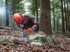 Бензопила Husqvarna 555