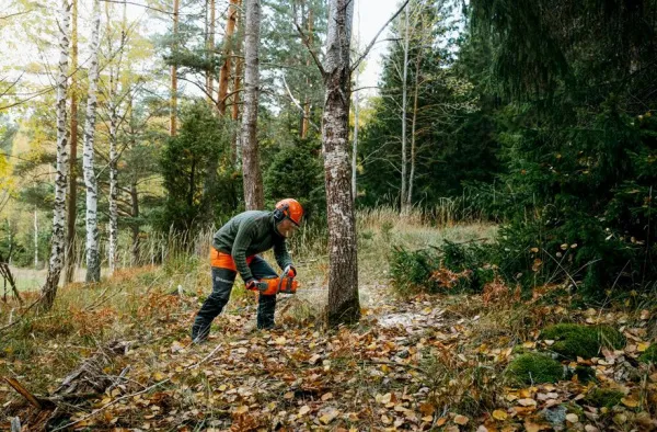 Аккумуляторная пила Husqvarna 340i