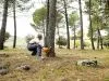 Бензопила Husqvarna 455 Rancher ATII (15" 0.325 1.3 H25)