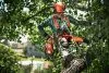 Бензопила Husqvarna T540XP II (снята с производства)