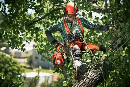 Бензопила Husqvarna T540XP II (снята с производства)