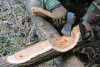 Топор Husqvarna малый