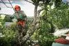 Бензопила Husqvarna T540XP II (снята с производства)