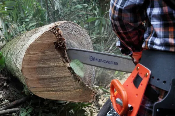 Бензопила Husqvarna 365 15" 3/8 1.5 56DL H42 X-Cut HLM X-Force