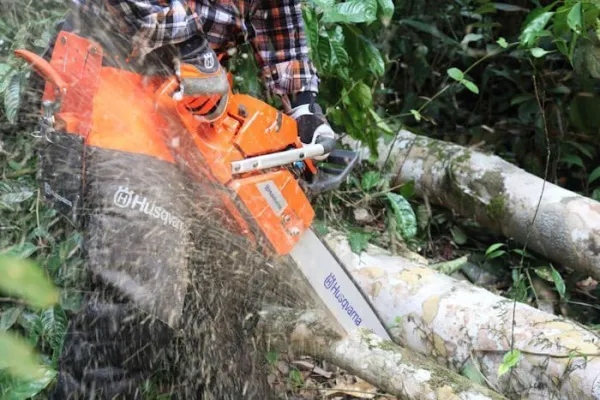 Бензопила Husqvarna 365 15" 3/8 1.5 56DL H42 X-Cut HLM X-Force