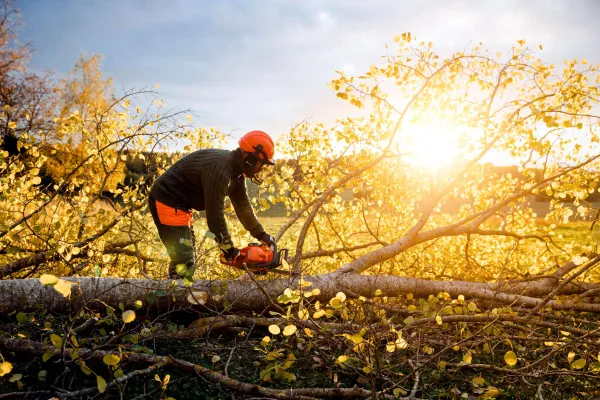 Бензопила Husqvarna 450 II