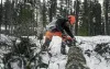 Бензопила Husqvarna 445e II 15" 0.325 1.3 64DL HSM