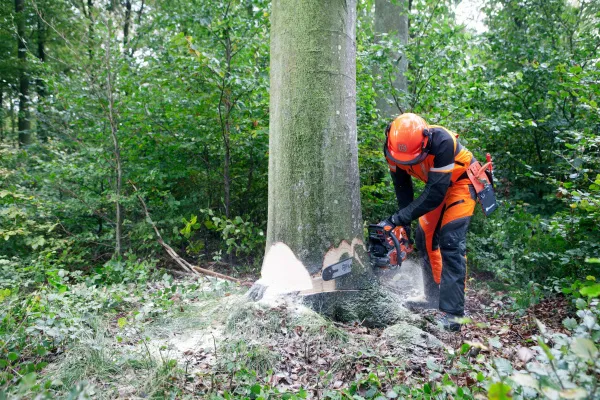 Бензопила Husqvarna 562 XP