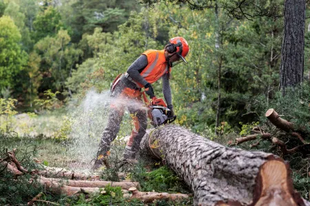 Бензопила Husqvarna 550XP Mark II