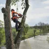 Бензопила Husqvarna T540XP Mark III 14" 0.325mini 1.1 59DL SP21G X-Cut HSM X-Precision