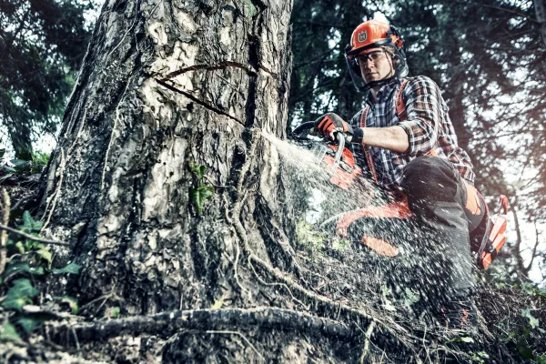 Бензопила Husqvarna 562 XP