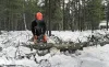 Бензопила Husqvarna 445e II 15" 0.325 1.3 64DL HSM