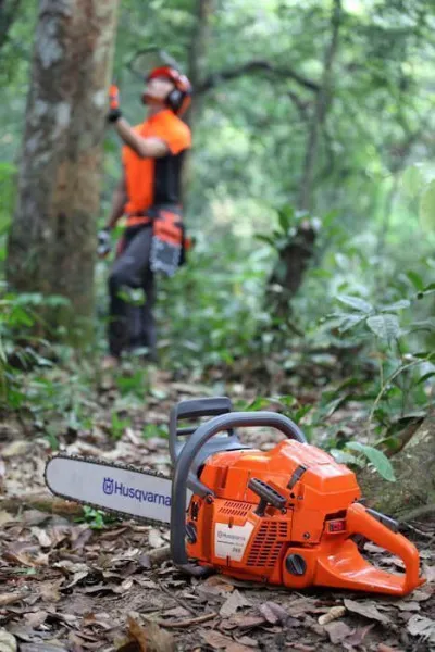 Бензопила Husqvarna 365 15" 3/8 1.5 56DL H42 X-Cut HLM X-Force