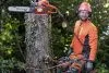 Бензопила Husqvarna 545 Mark II 15"