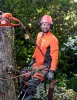 Бензопила Husqvarna 550XP Mark II