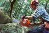 Бензопила Husqvarna 555