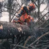 Бензопила Husqvarna 592 XP