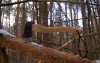 Топор Husqvarna малый