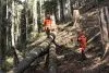 Бензопила Husqvarna 572 ХР