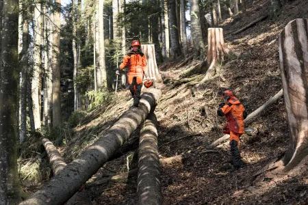 Бензопила Husqvarna 572 ХР