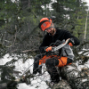 Бензопила Husqvarna 450e II 15" 0.325 1.3 64DL HSM