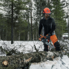Бензопила Husqvarna 445e II 15" 0.325 1.3 64DL HSM