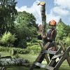 Бензопила Husqvarna 440e II 15" 0.325 1.3 64DL HSM