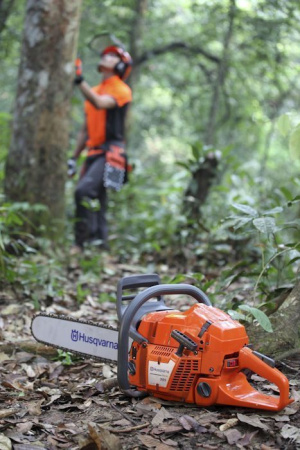 Бензопила Husqvarna 365 15" 3/8 1.5 56DL C85 X-Cut HLM X-Force