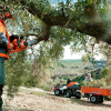 Бензопила Husqvarna 440 II