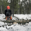 Бензопила Husqvarna 445e II 15" 0.325 1.3 64DL HSM