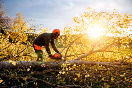 Бензопила Husqvarna 450 II