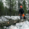 Бензопила Husqvarna 450e II 15" 0.325 1.3 64DL HSM