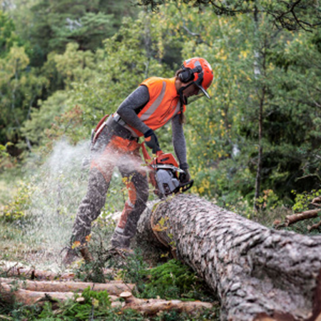 Бензопила Husqvarna 550XP Mark II