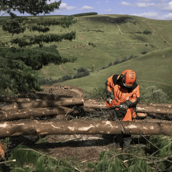 Бензопила Husqvarna 565 18"