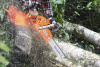 Бензопила Husqvarna 365 15" 3/8 1.5 56DL C85 X-Cut HLM X-Force