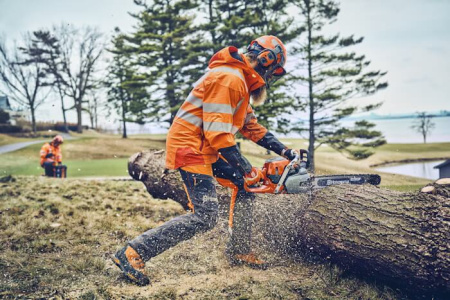 Бензопила Husqvarna 562XP Mark II 18" 3/8 1.5 68DL C85 X-Cut HLM X-Force