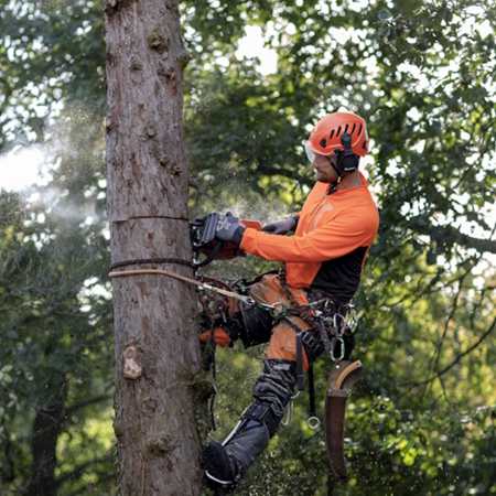 Бензопила Husqvarna 545 Mark II 15"